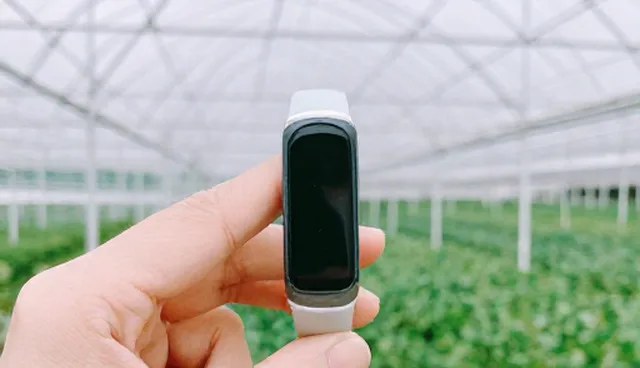智能手环批发零售中的常见误区解析